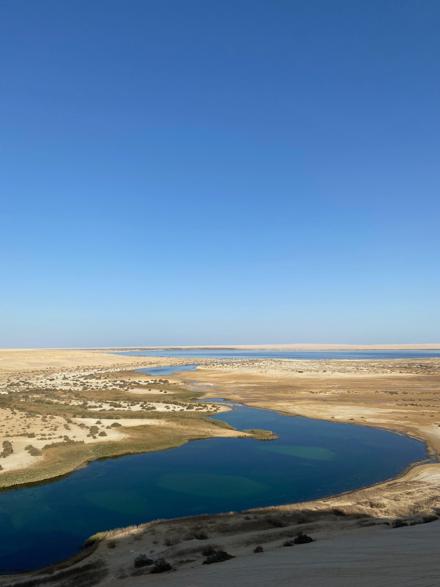 Fayoum Safari and Painting Retreat